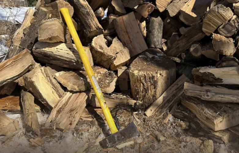 Untreated firewood from outside Michigan no longer allowed beginning in 2027